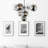 Myrdle 6 Light Modern Flush Mount Ceiling Light – Chrome Finish with Tinted Glass Globes and Energy-Efficient LED Lighting, 16-Inch Diameter