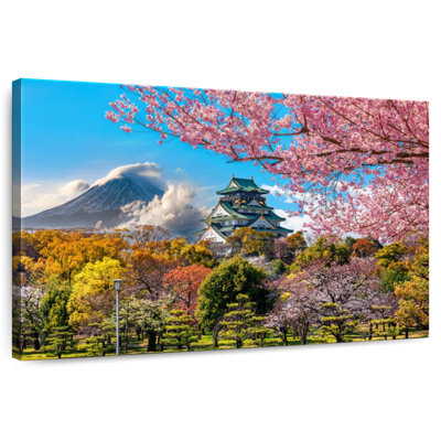 Ravi Cherry Blossoms Japan