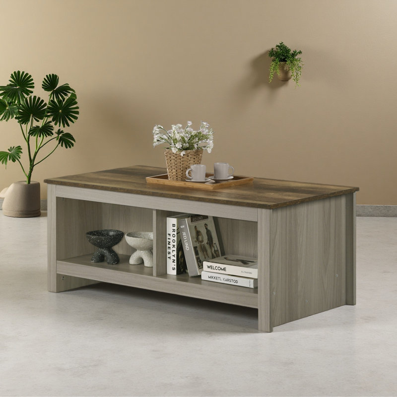 Table basse l 43 po avec tablettes ouvertes à l'avant et à l'arrière