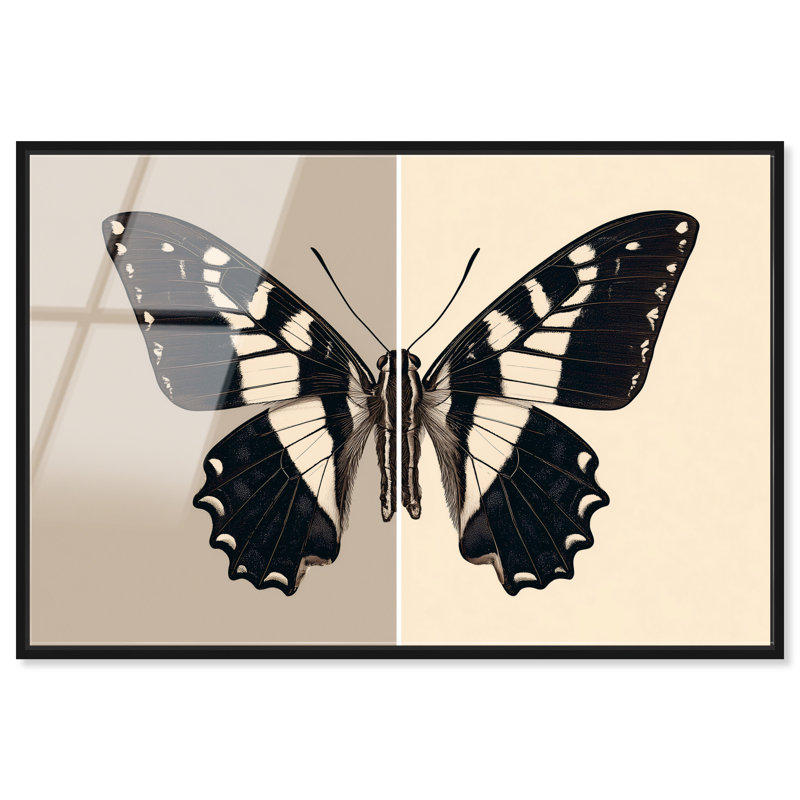«Duality of a Monarch IV», reproduction d'art acrylique encadrée par Art Remedy, cadre noir, 45 x 30, H 31 po x l 46 po
