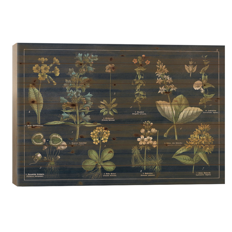 Tableau floral botanique I bleu foncé, H 18 po x l 26 po x P 1,5 po