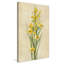 «Farm Flower III» par Silvia Vassileva - peinture-65864546-65864547
