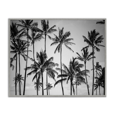 «Palm Trees Skyline» par Design Fabrikken, reproduction de photo