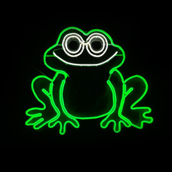 Plaque de grenouille en 2 dimensions