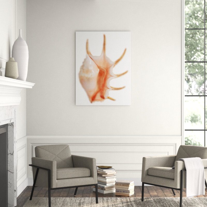 Sea Shell In White IV Print by Sofia Fox, Outdoor, 48" H x 36" W x 1.5" D