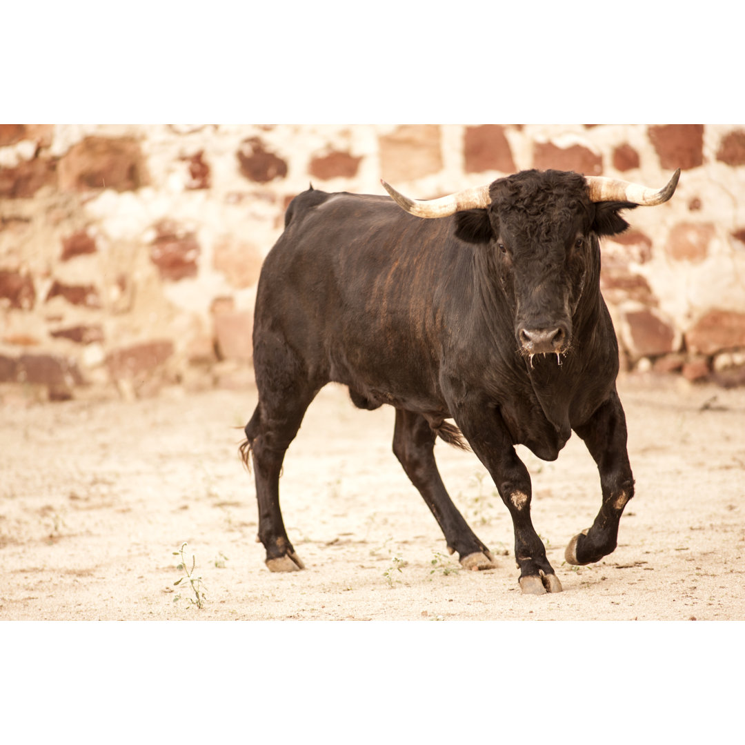 Race Toro von Iacu - Kunstdrucke auf Leinwand ohne Rahmen