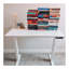 Standing Desk-291611425-291611454-291611429