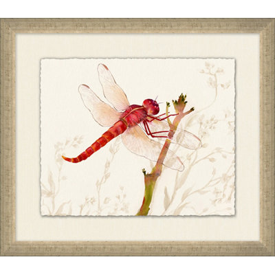 Perched Dragonfly 1 Painting