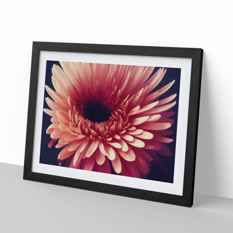 Inspiring Chrysanthemum Flower - Framed Print, Black, 46cm H x 64cm W x 2cm D