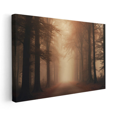 «Misty Woodland Wander»