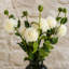 Artificial Arrangement-106401552