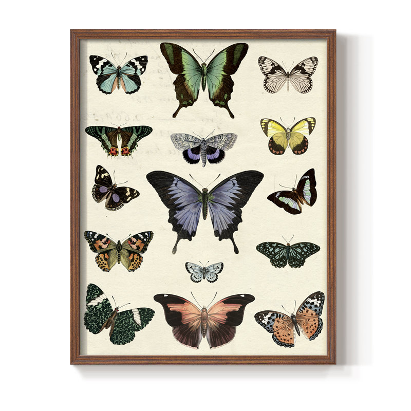 «Flutterbys II», reproduction encadrée - bois massif, H 21 po x l 17 po, Noyer