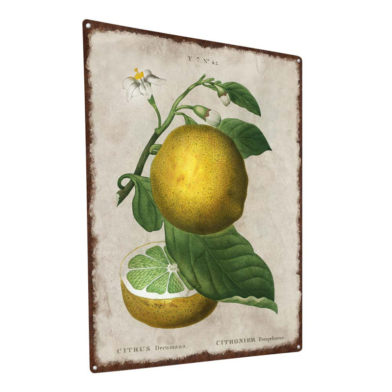 Illustration rétro de citron, H 15,5 po x l 11,5 po x P 0,04 po