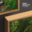 Népal, forêt verte, cascade-93629278-93629279