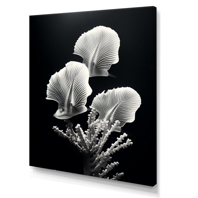 «Black and White Modern Coral Dream - Beach and Ocean, art mural sur toile, H 20 po x l 12 po x P 1 po, Toile tendue