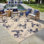 Tapis d'intérieur / extérieur tissé à plat bleu marine / beige Disney Mickey Mouse
