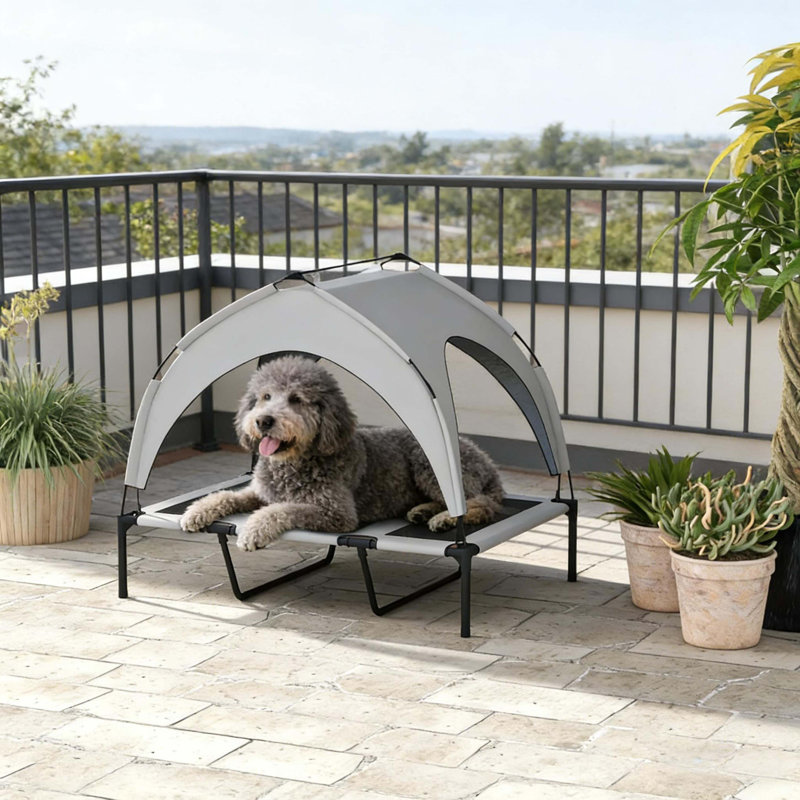 Lit surélevé pour animaux de compagnie, lit surélevé pour animaux de compagnie, lit pour animaux de compagnie