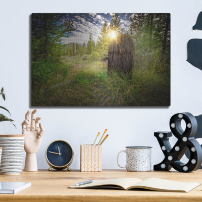 Millwood Pines 'Bonanza Cemetery' by Rick Berk Metal Wall