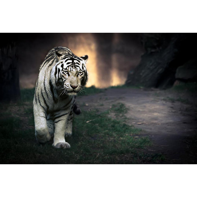 Wrapped Canvas Print, 76.2 cm H x 50.8 cm W
