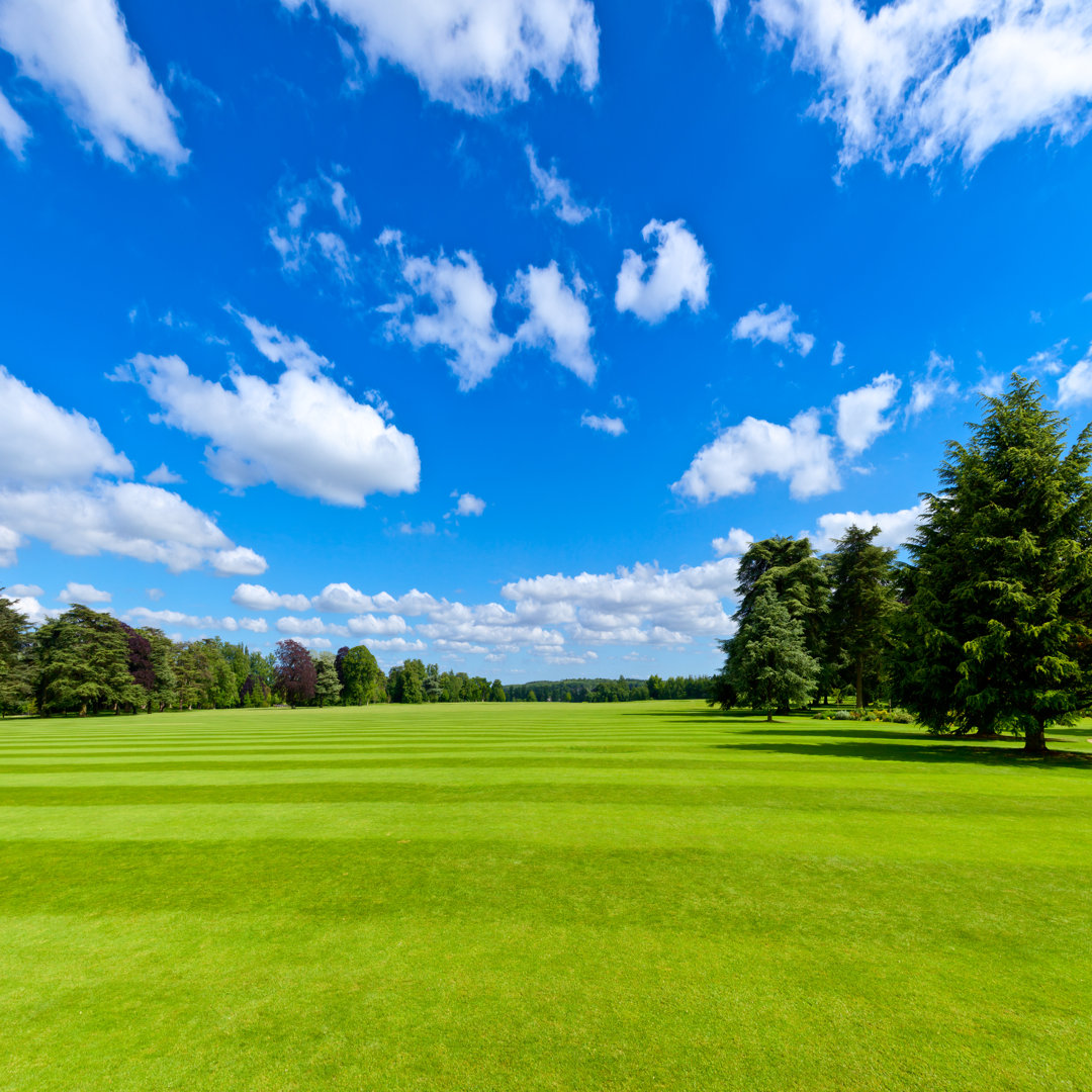 Summer Park Lawn von Naumoid - Leinwandfoto im Wickelformat