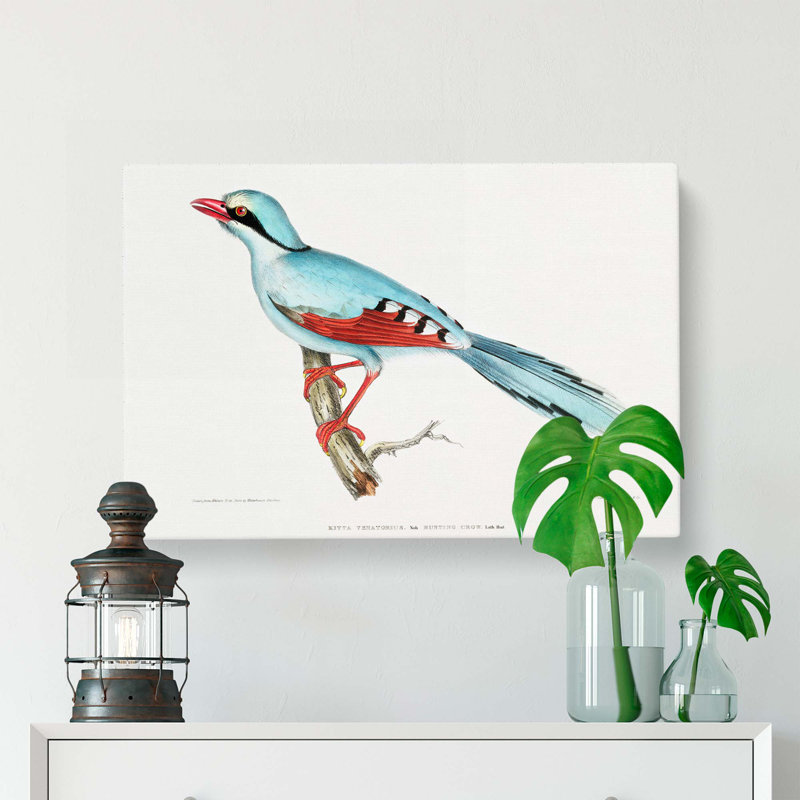 Hunting Crow by John Edward Gray - Wrapped Canvas, 35cm H x 50cm W x 3cm D