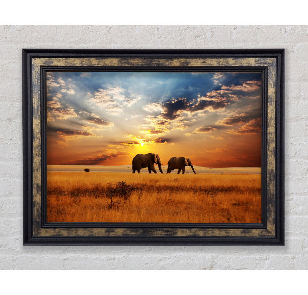 Gerahmtes Leinwandbild Elephant Duo Sunset