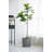 Papineau Pot Planter