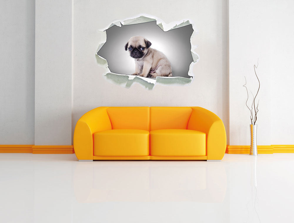 Sitzender Mops-Welpe vor grauem Hintergrund Wandsticker