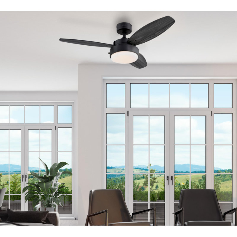 Alloy 42'' Ceiling Fan with Light Kit, Matte Black