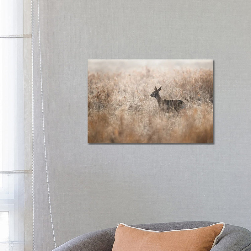 Roe Deer by Mateusz Piesiak - Wrapped Canvas Print
