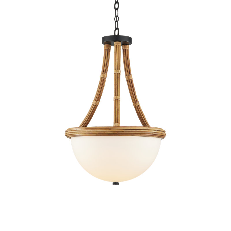 Luminaire suspendu bol à 1 lumière DEL Morningside