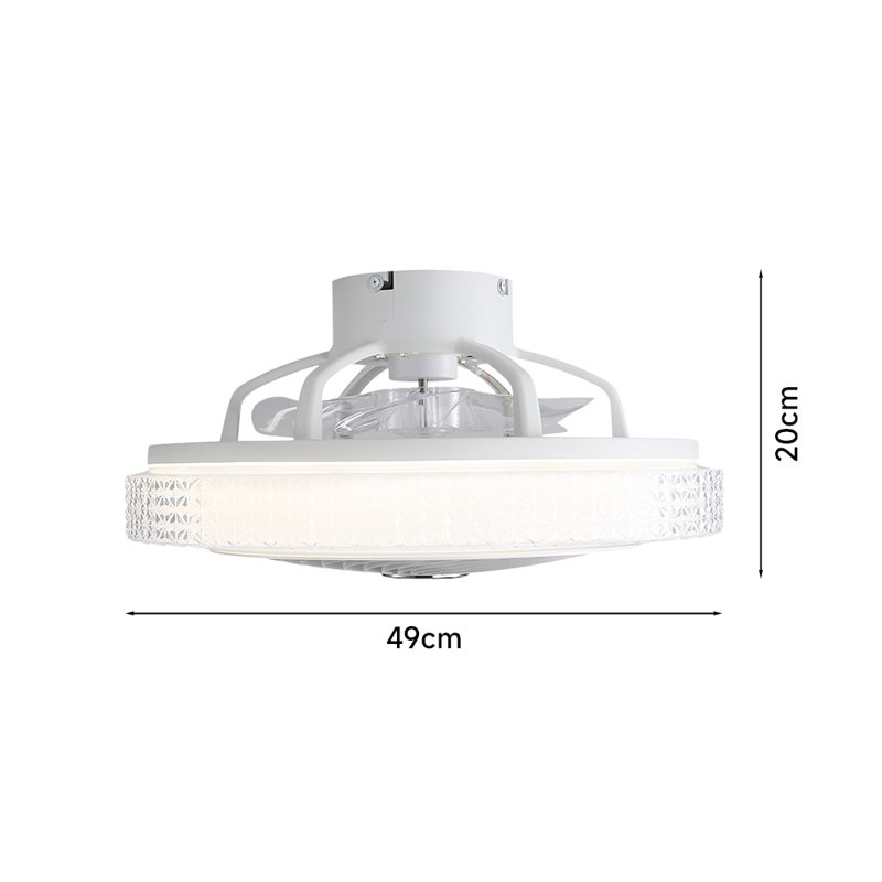 Ceiling Fan with LED Lights