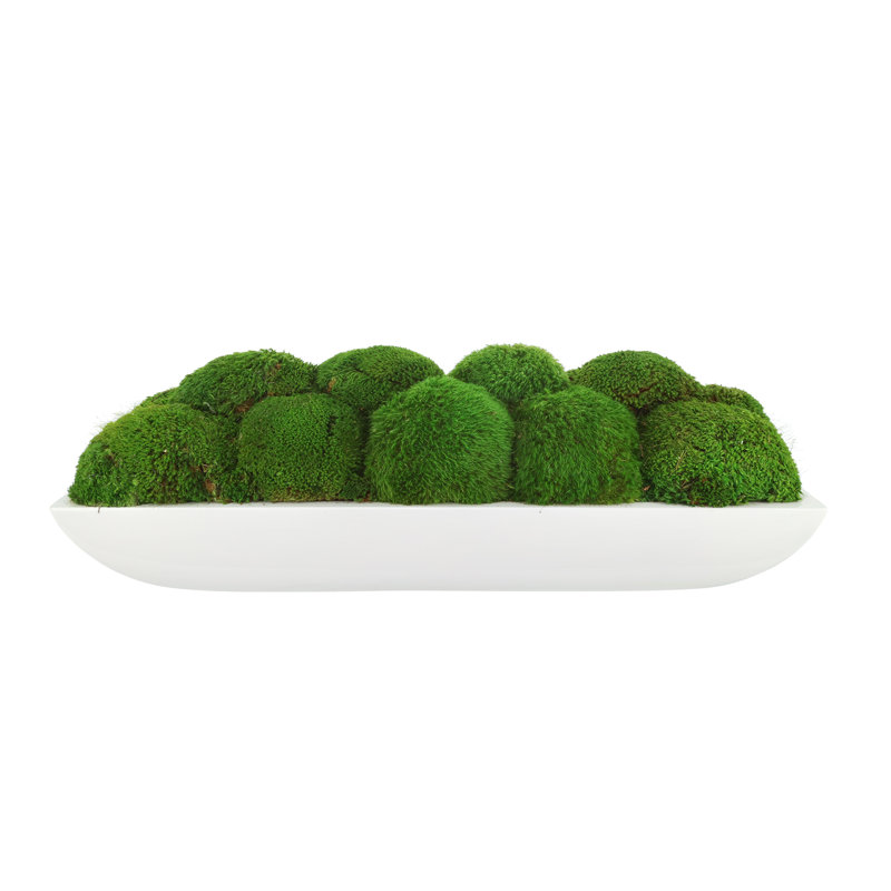 Moss Preserved in Oblong Planter, 7" H x 19.5" W x 10.5" D