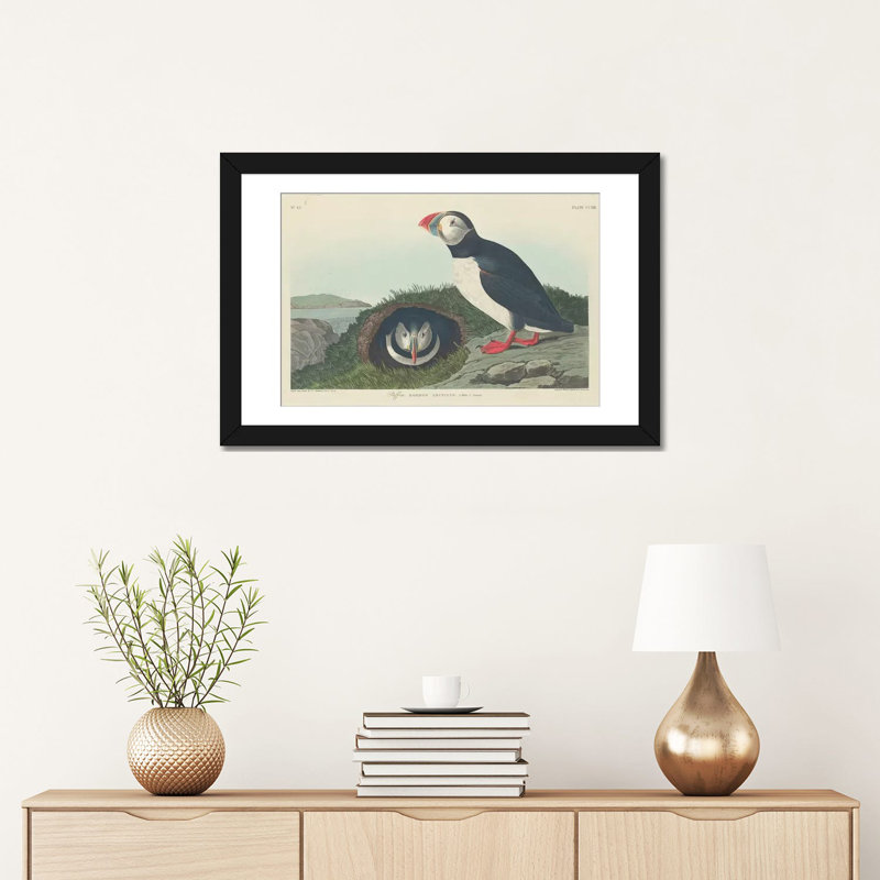 «Puffin», impression sur toile, H 16 po x l 24 po x P 1 po, Papier d'art encadré noir, Blanc