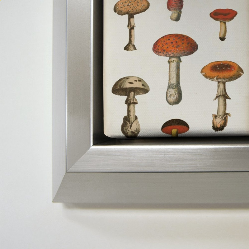 «Mushroom Chart III Light» par Wild Apple Portfolio - impression sur toile, Argent, H 24 po x l 34 po