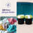 Homz Plastic Storage Tub & Tote