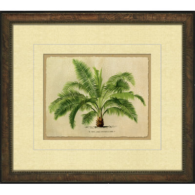 Small Crackled Horizontal Palm II Painting