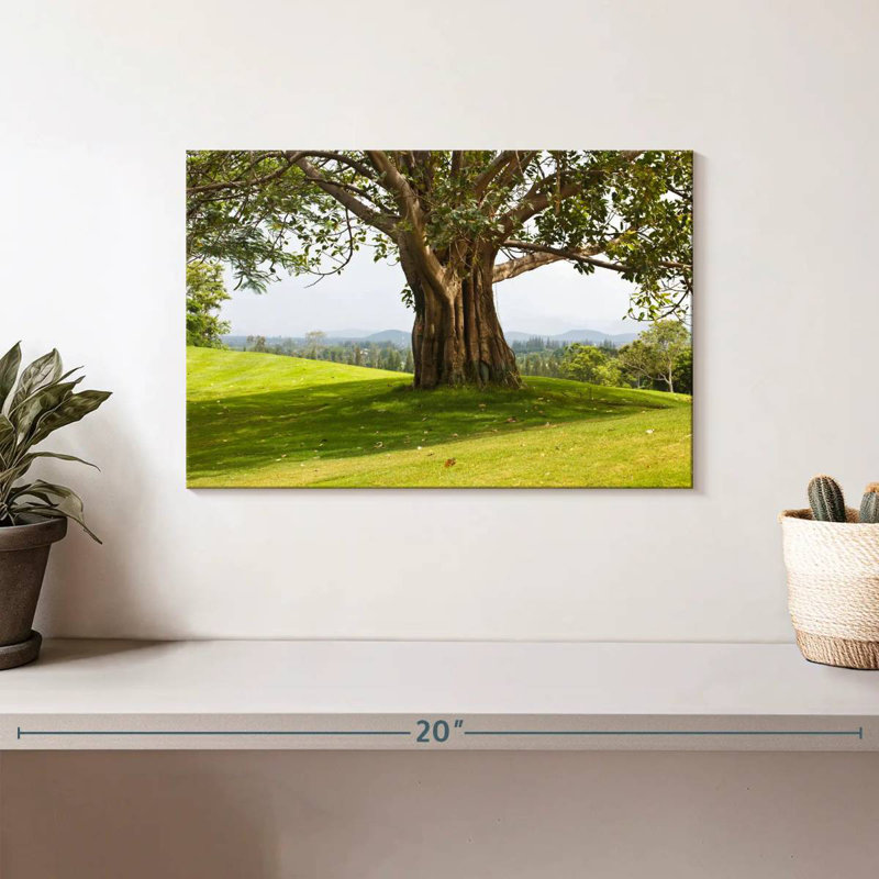 Arbre véritable Harnek, H 8 po x l 12 po