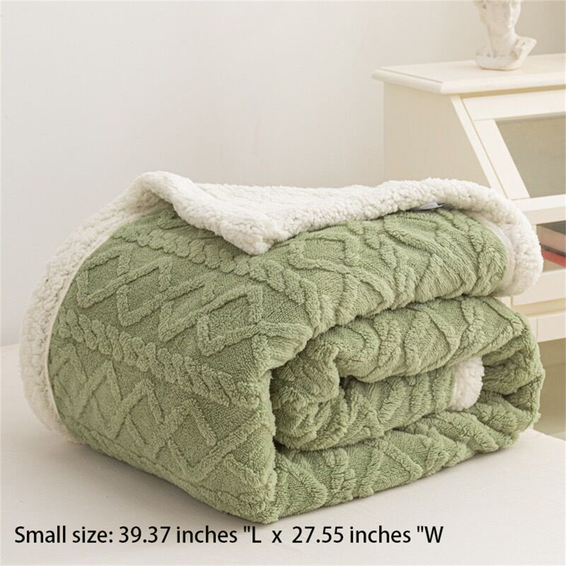 Couverture en flanelle et en peluche pour animaux, L 27,55 po x L 39,37 po
