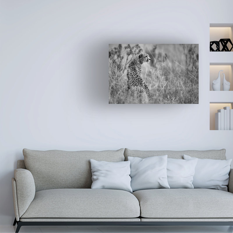 Mohammed Alnaser Dotted Beauty Canvas Art, H 12 po x l 19 po