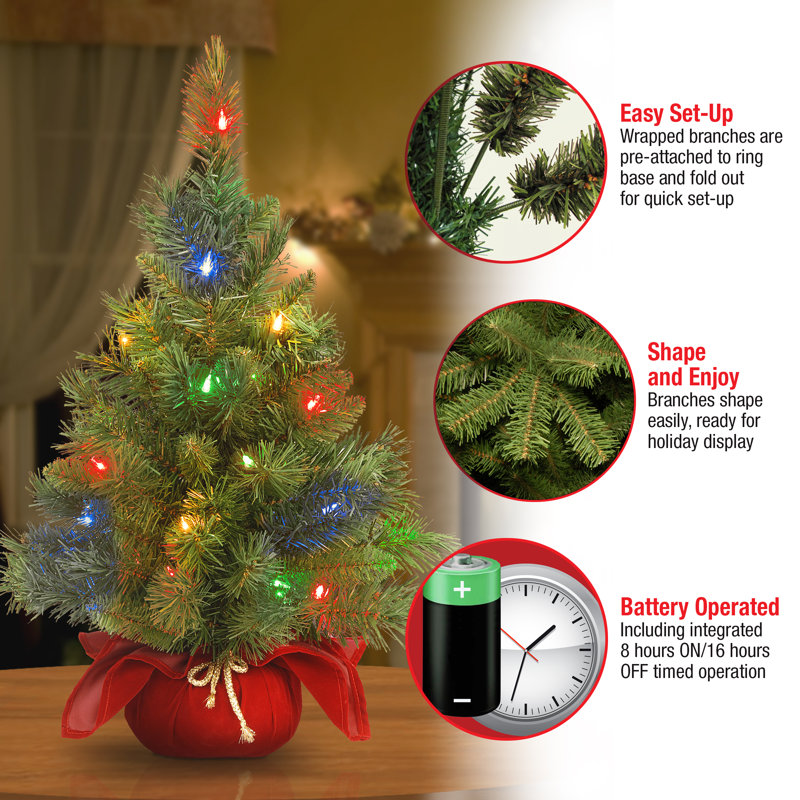 2ft. Majestic Fir Tree, Red Base with Multicolor LED Lights
