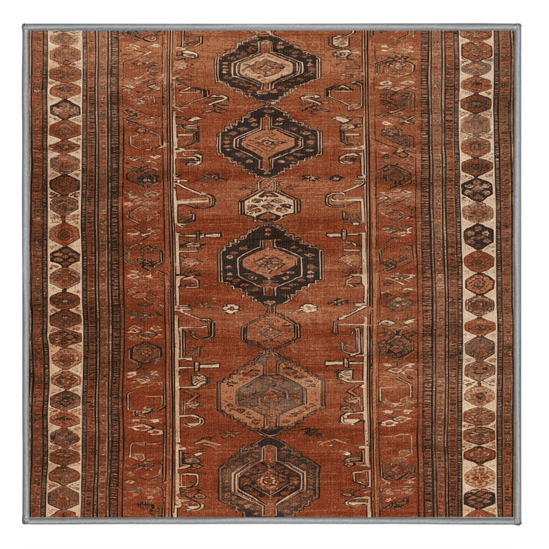 Machine Washable Turkish Brown Area Rug, Square 4'