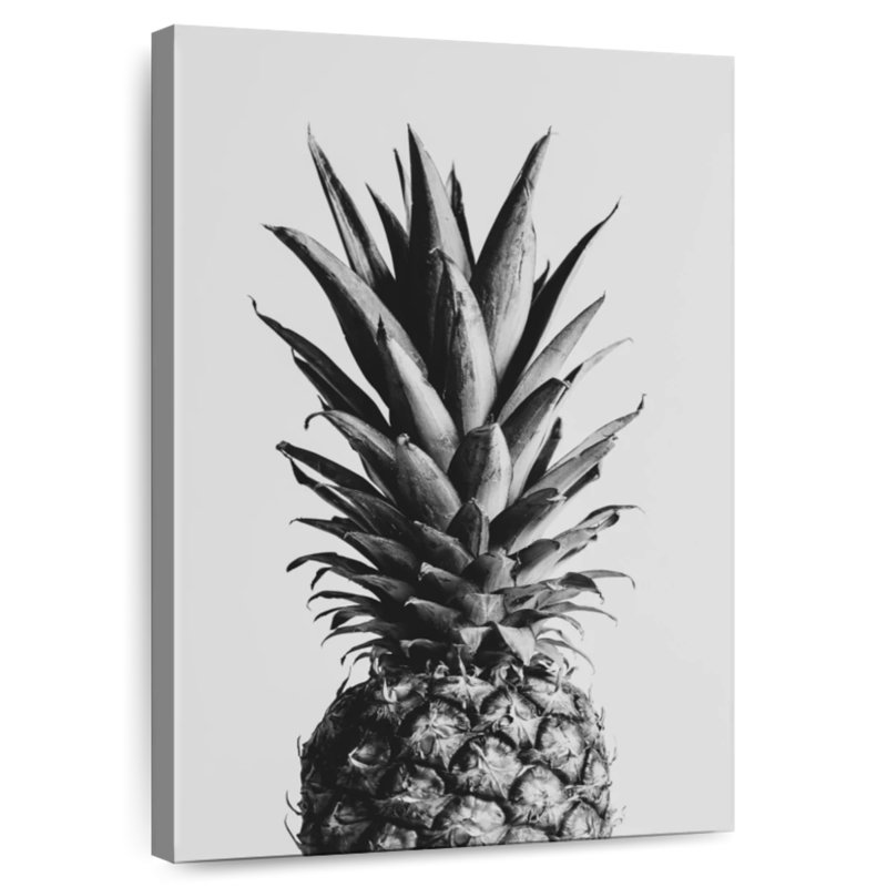 Yarlin Pineapple Black And White I, 48" H x 32" W