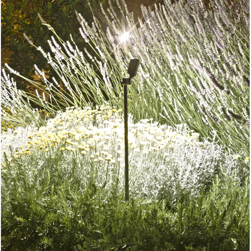 Spiky LED Pathway Light