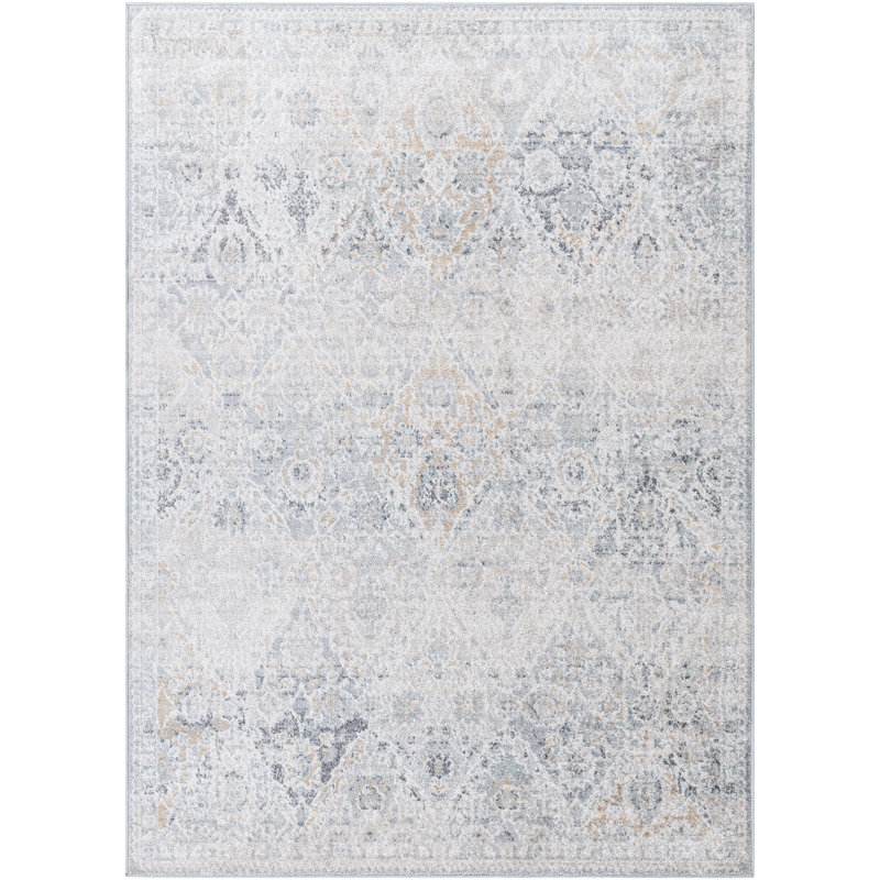 Reagyn Oriental Washable Area Rug, Rectangle 120 x 170cm
