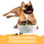 8In Natural Marble Dog Bowl Dish