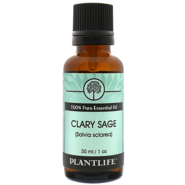 Plantlife Clary Sage Essential Oil - 30ml - Wayfair Canada