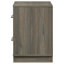Bourke 2-drawer Nightstand