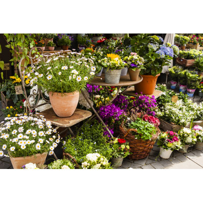 " Flower-Shop "