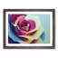 Colourful Rose Flower Vol.1 1 Piece Single Picture Frame Wall Art-1371287666-1371289930